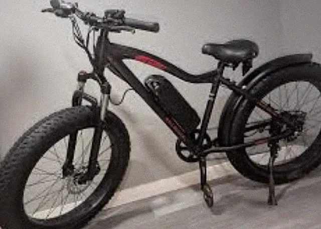 DJ Bikes Fat bike
